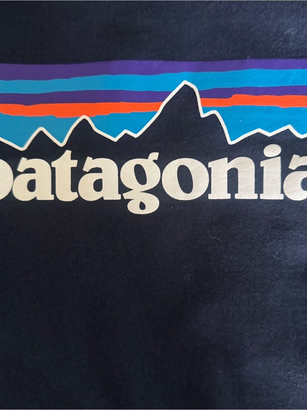 Patagonia Men's XL Navy Blue Logo Pullover Hoodie Sweatshirt - Picture 5 of 11